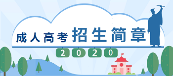 2020年陕西成人高考
