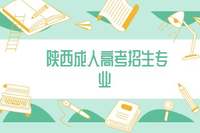 陕西成人高考汉语言文学