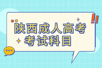 陕西成人高考汉语言文学考试科目