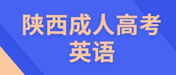 陕西成考英语