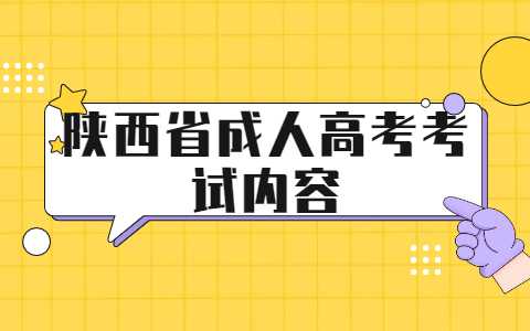 陕西省成人高考