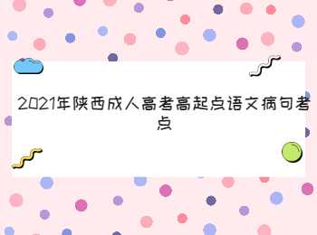 陕西成人高考