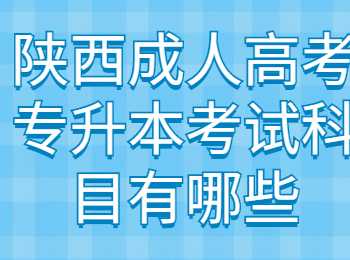 陕西成人高考