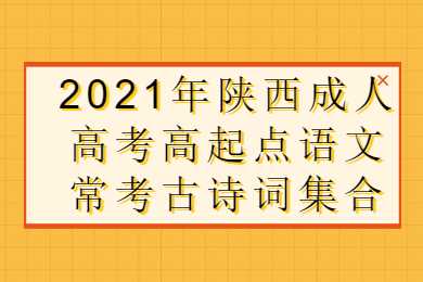 陕西成人高考