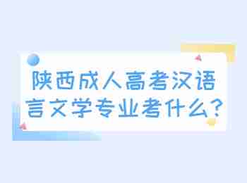 陕西成人高考汉语言文学专业考什么?