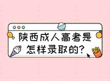 陕西成人高考是怎样录取的?