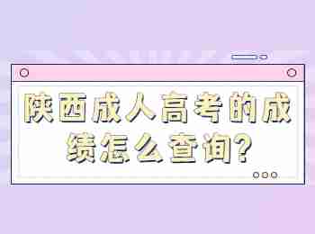 陕西成人高考的成绩怎么查询?