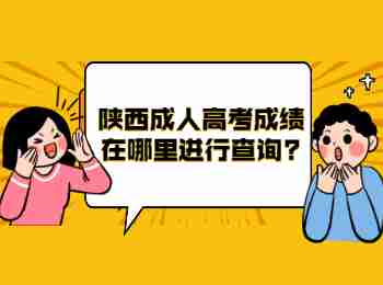 陕西成人高考成绩在哪里进行查询?