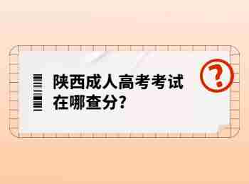 陕西成人高考考试在哪查分?