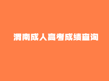 渭南成人高考成绩查询