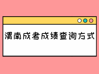 渭南成考成绩查询方式