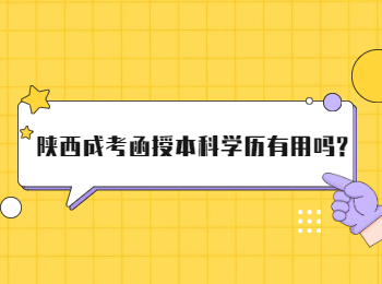 陕西成考函授本科学历有用吗?