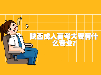 陕西成人高考大专有什么专业?