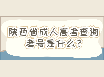 陕西省成人高考查询考号是什么