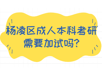 杨凌区成人本科考研需要加试吗