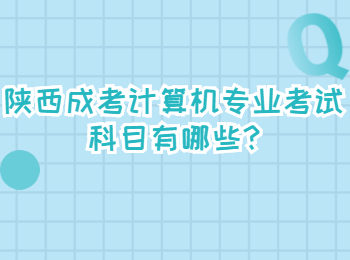 陕西成考计算机专业考试科目有哪些