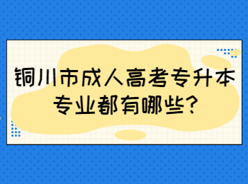 铜川市成人高考专升本专业都有哪些