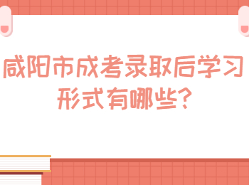 咸阳市成考录取后学习形式有哪些