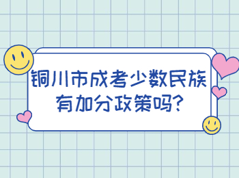 铜川市成考少数民族有加分政策吗