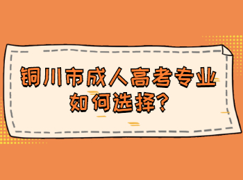 铜川市成人高考专业如何选择