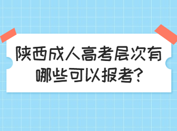 陕西成人高考层次有哪些可以报考