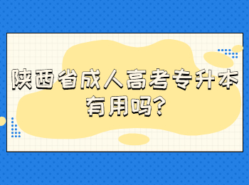 陕西省成人高考专升本有用吗