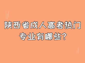 陕西省成人高考热门专业有哪些