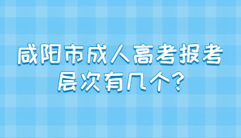 咸阳市成人高考报考层次有几个