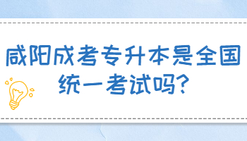 咸阳成考专升本是全国统一考试吗