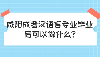 咸阳成考汉语言专业毕业后可以做什么