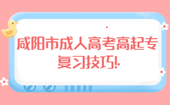 咸阳市成人高考高起专复习技巧