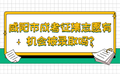 咸阳市成考征集志愿有机会被录取吗