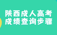 陕西成考成绩查询