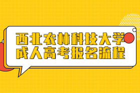 西北农林科技大学成人高考报名