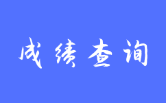 陕西成考成绩查询需要哪些证件或信息？