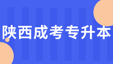 2024年陕西成人高考专升本考试考什么？