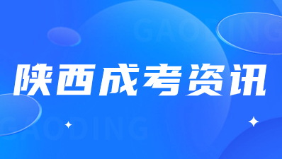 陕西成人高考可以选择不考英语吗？