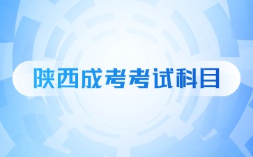 2024年陕西成考高起专考试科目？